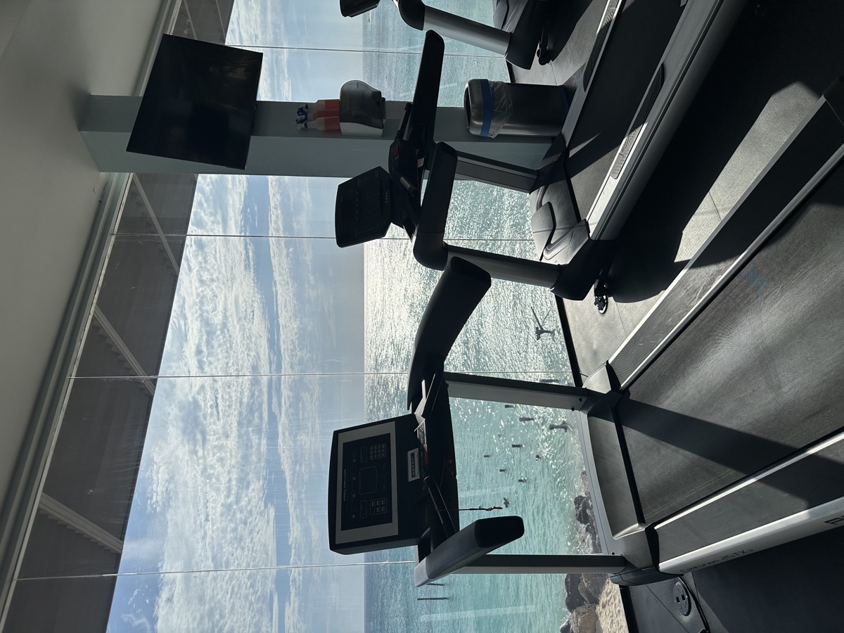 Treadmills facing a bright ocean view.